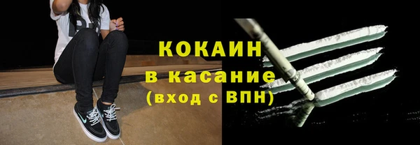 молекула духа Арсеньев