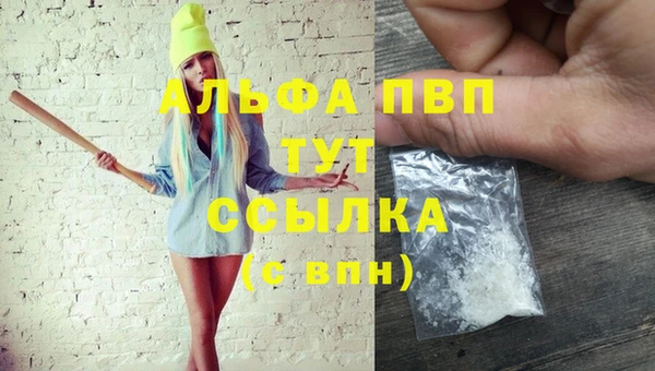 молекула духа Арсеньев