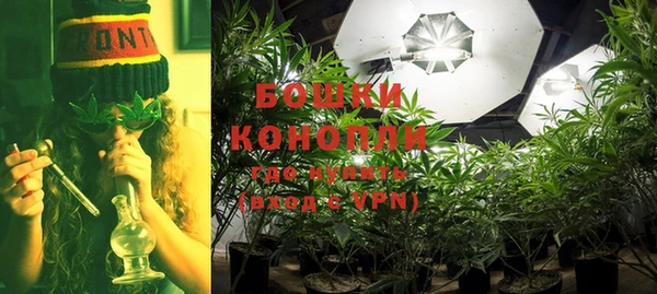 прущие крисы Армянск