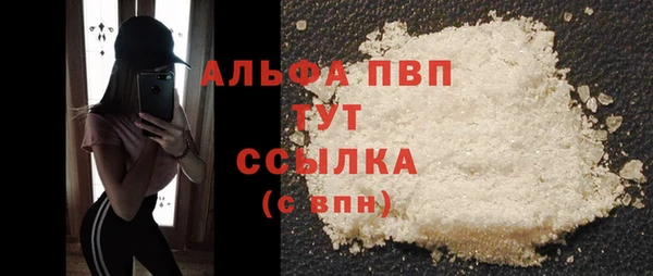 молекула духа Арсеньев