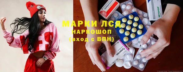 прущие грибы Аркадак
